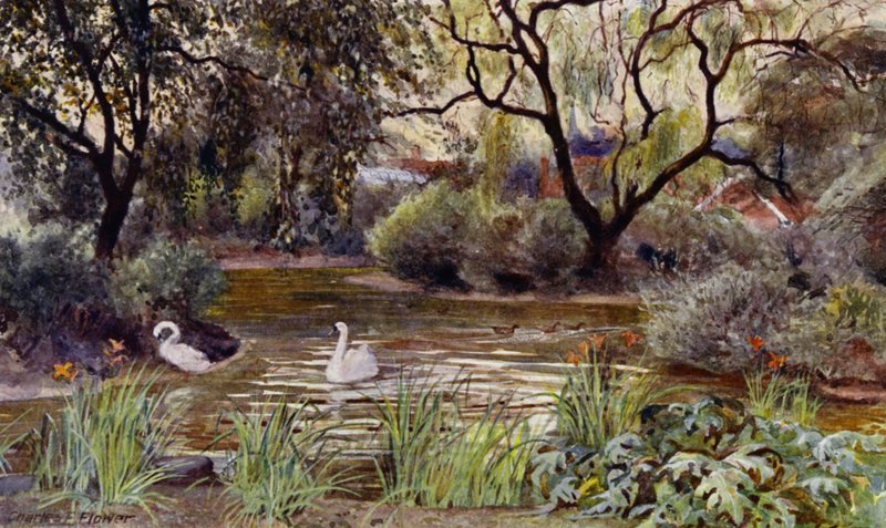 Lontoon eläintarha: Three Island Pond (väri litho) tekijältä Charles Edwin Flower