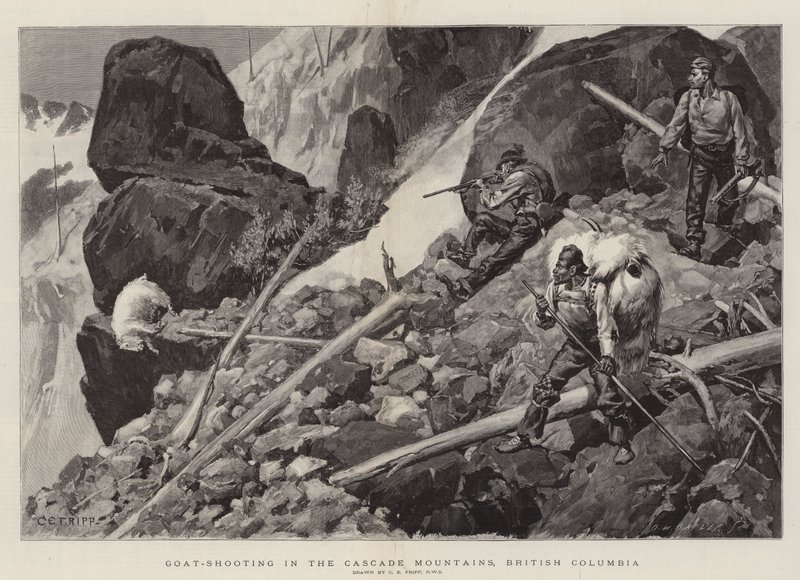Vuohen ammunta Cascade-vuorilla, Brittiläisessä Kolumbiassa tekijältä Charles Edwin Fripp