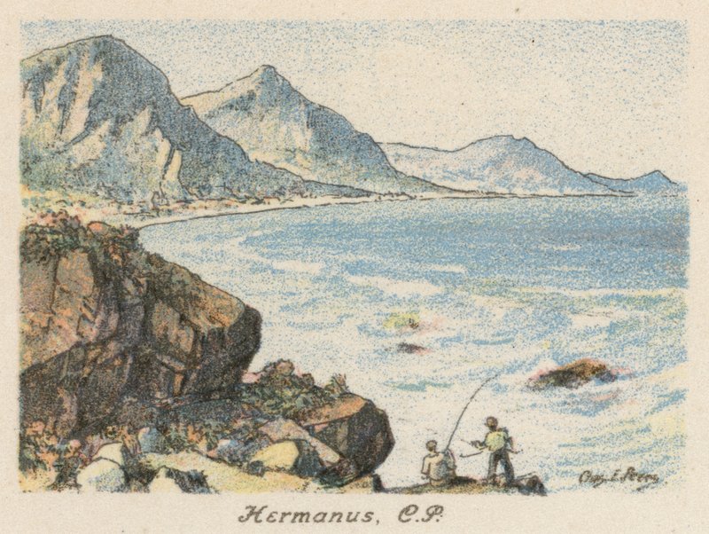 Etelä-Afrikka: Hermanus, CP (värilitro). tekijältä Charles Ernest Peers