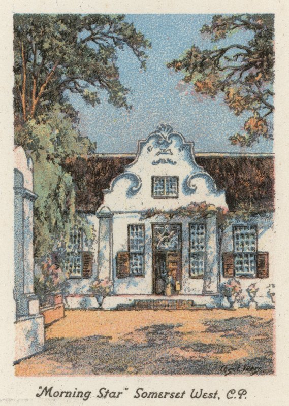 Etelä-Afrikka: "Morning Star", Somerset West, CP (värilitografia). tekijältä Charles Ernest Peers