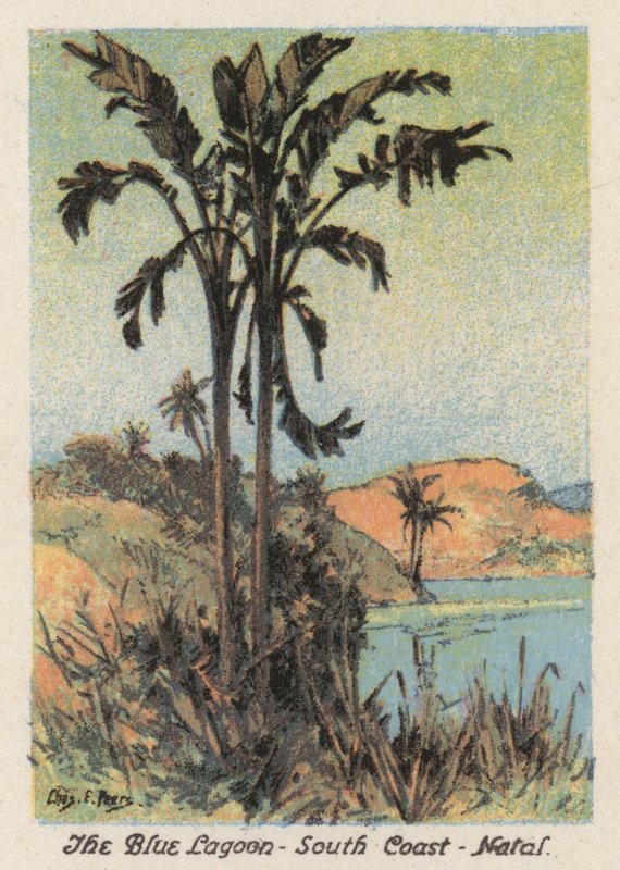 Etelä-Afrikka: Natalin etelärannikolla (värilitro). tekijältä Charles Ernest Peers