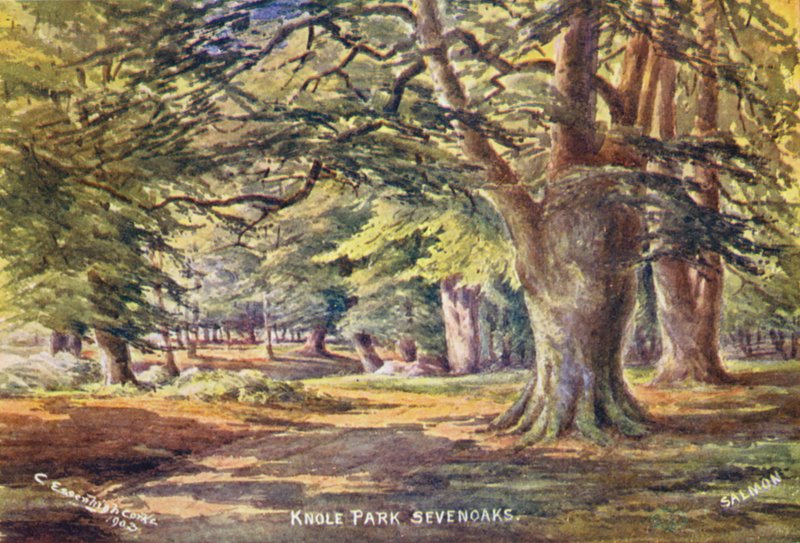Knole House: Puiston pyökit (värilitro): Beech Trees in the Park (värilitro) tekijältä Charles Essenhigh Corke
