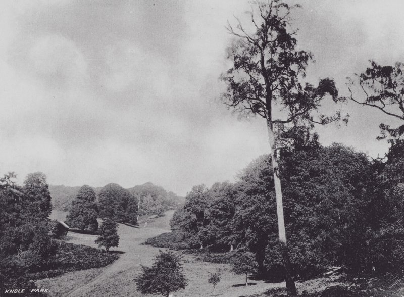 Knole Park (s/w-kuva) tekijältä Charles Essenhigh Corke