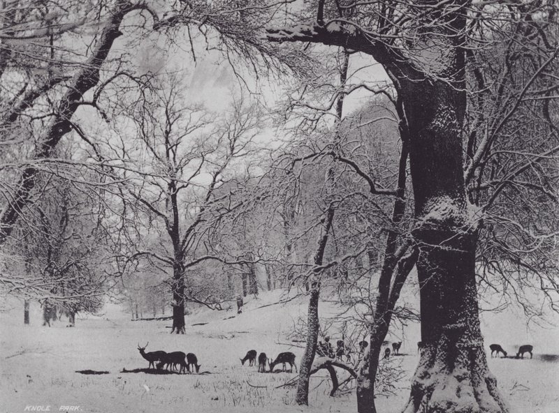 Knole Park (m/w kuva) tekijältä Charles Essenhigh Corke
