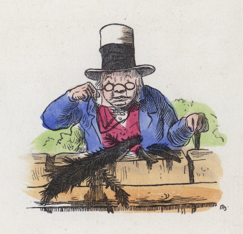 Kahden harakan jäänteet puutarha-aidalla (värillinen kaiverrus) tekijältä Charles Henry (after) Bennett
