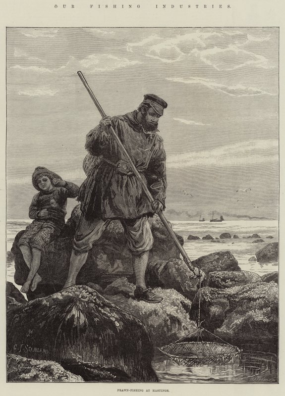 Kalastusteollisuutemme, katkarapujen kalastus Hastingsissa tekijältä Charles J. Staniland