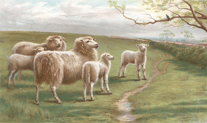 Kevään laulu (chromolitho) tekijältä Charles Jones