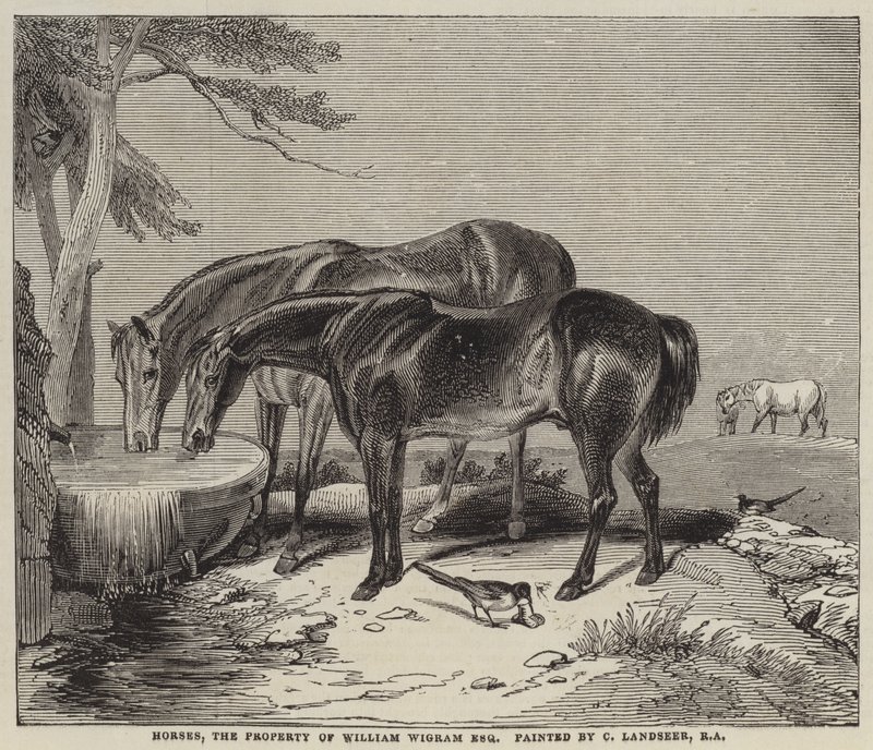 Hevoset, William Wigramin omaisuus, Esquire tekijältä Charles Landseer