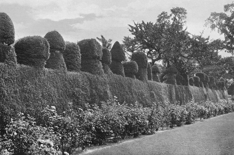 Fulford Hall: Eksentrinen topiary-työ tekijältä Charles Latham