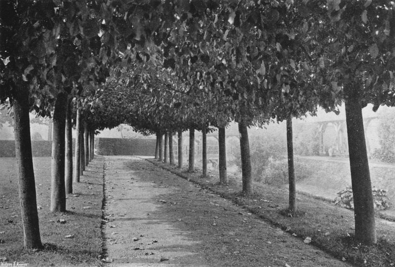 The Pleached Walk (m/w kuva) tekijältä Charles Latham