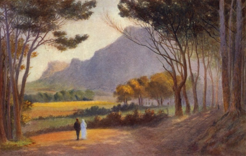 Cape Peninsula, Etelä-Afrikka: Alphen (väri litho) tekijältä Charles Stephen Meacham