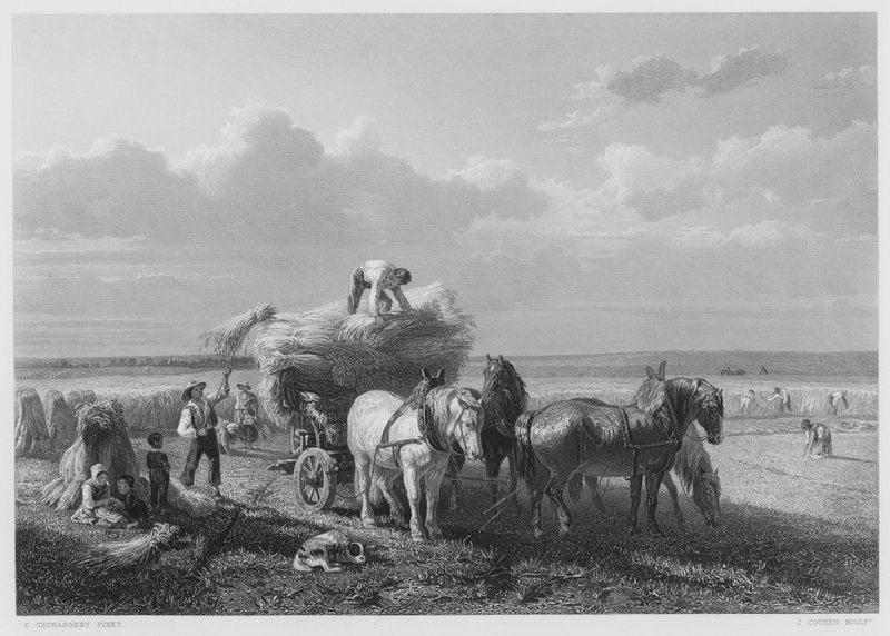 The Harvest-Field, kuvasta Royal Collection (kaiverrus) tekijältä Charles Tschaggeny
