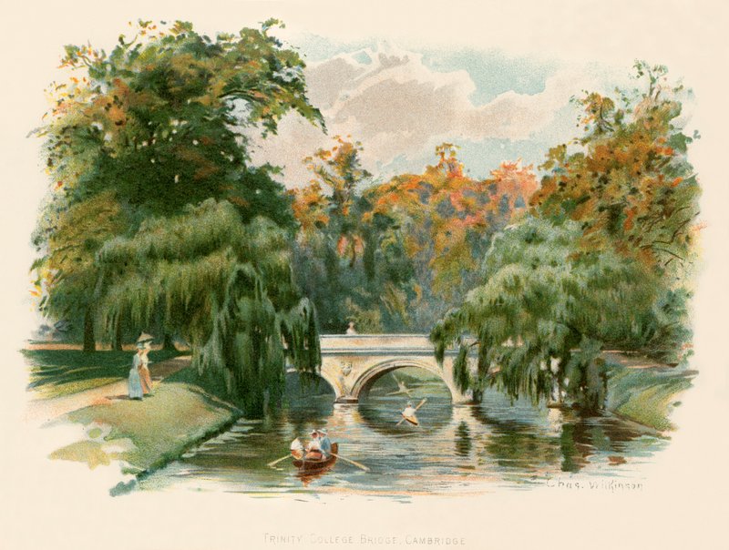 Trinity Collegen silta, Cambridge tekijältä Charles Wilkinson