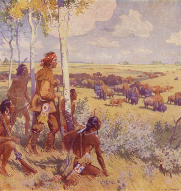 Kelsey näkee Buffalon (väri litho) tekijältä Charles William (after) Jefferys
