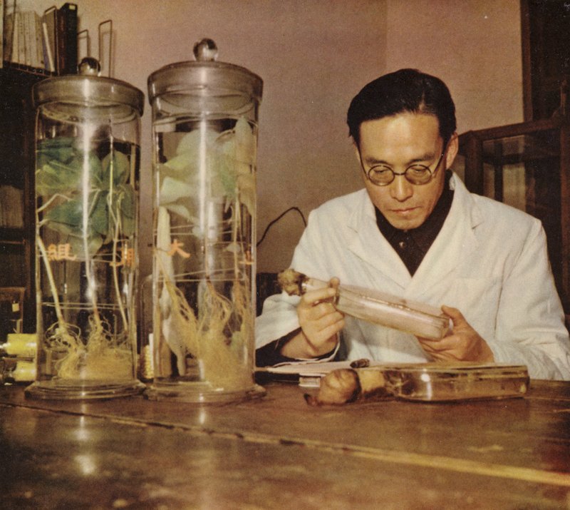 Kiinalainen maatalouskemisti Changchun Research Instituten Kiinan kansantasavallasta, 1950-luku tekijältä Chinese Photographer