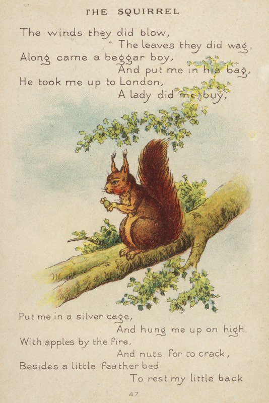 Lastenlaulu: Orava (chromolitho) tekijältä Constance Haslewood