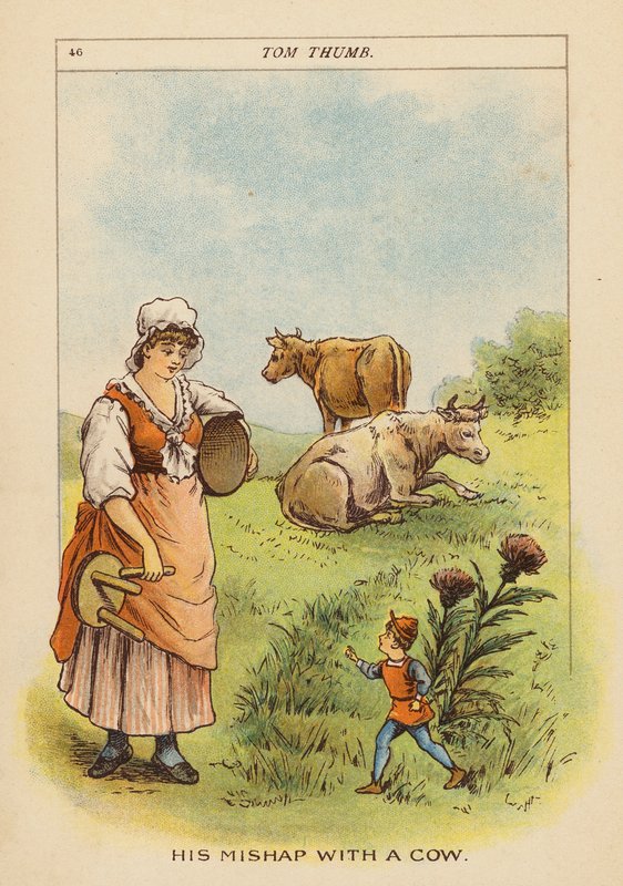 Tom Thumb (värillinen litografia) tekijältä Constance Haslewood