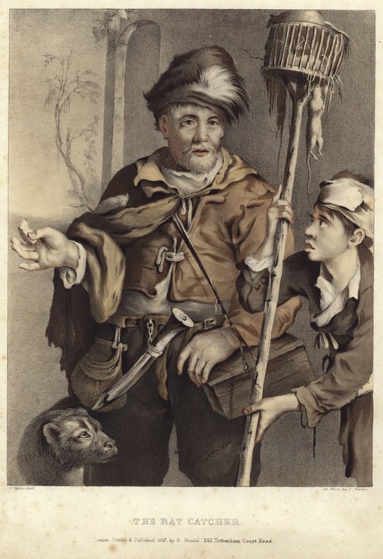Rotan sieppaaja tekijältä Cornelis Visscher