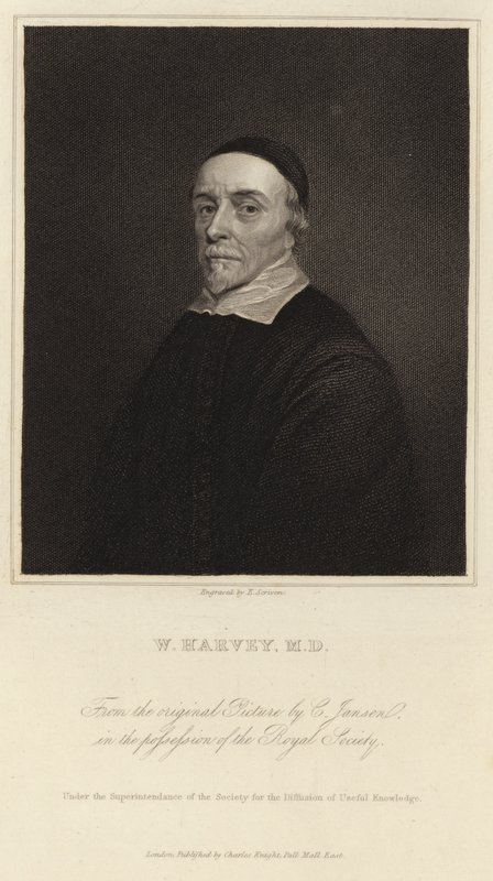 William Harvey tekijältä Cornelius Janssen van Ceulen