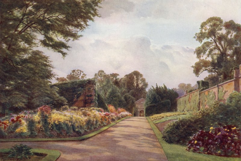 Varhaiset krysanteemit, Claremont (väri litho) tekijältä Cyril Ward