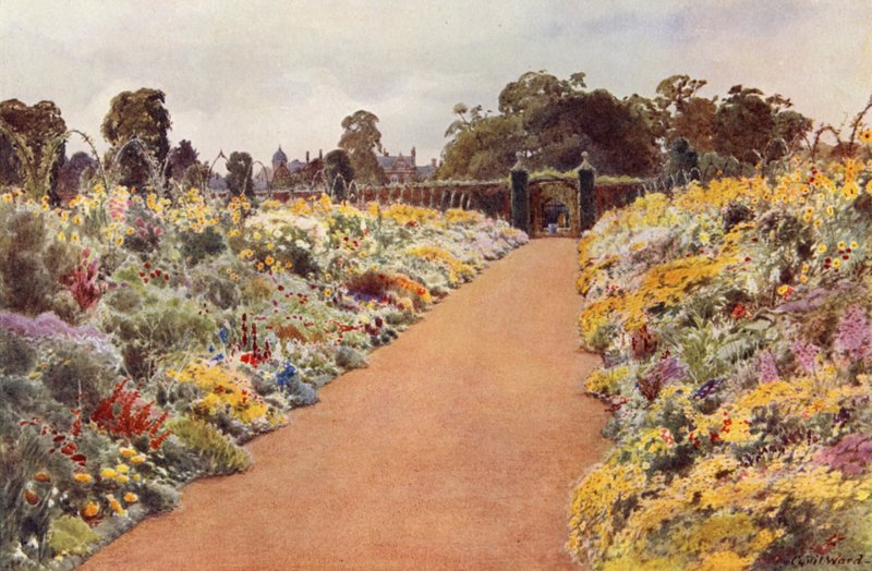Kaksoisrajat East Gardenissa, Sandringham (väri litho) tekijältä Cyril Ward