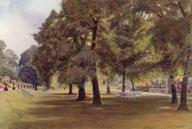 Puut nurmikolla Marlborough Housessa (väri litho) tekijältä Cyril Ward