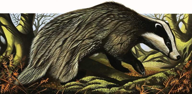Herra ja rouva Badger kotona tekijältä David Pratt