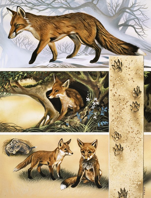 Kettu tekijältä David Pratt