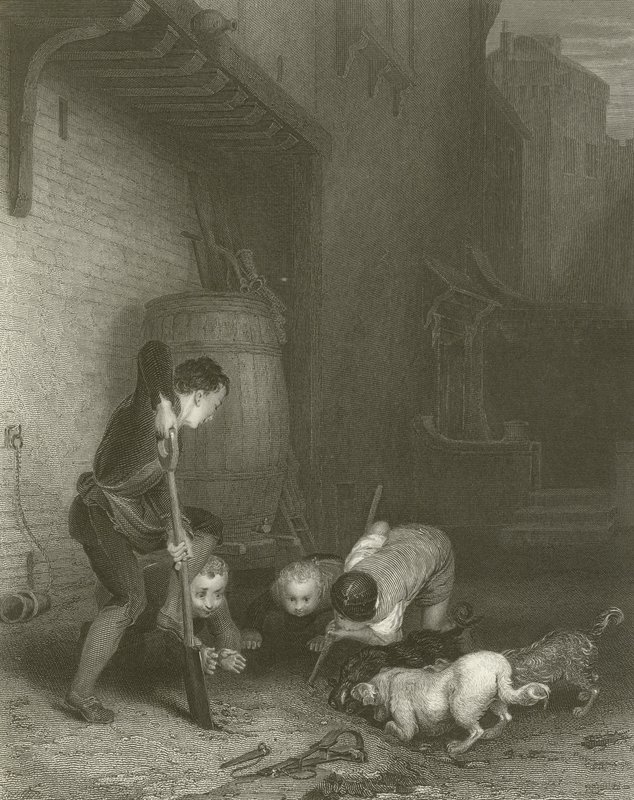 Rotanmetsästäjät tekijältä David Wilkie