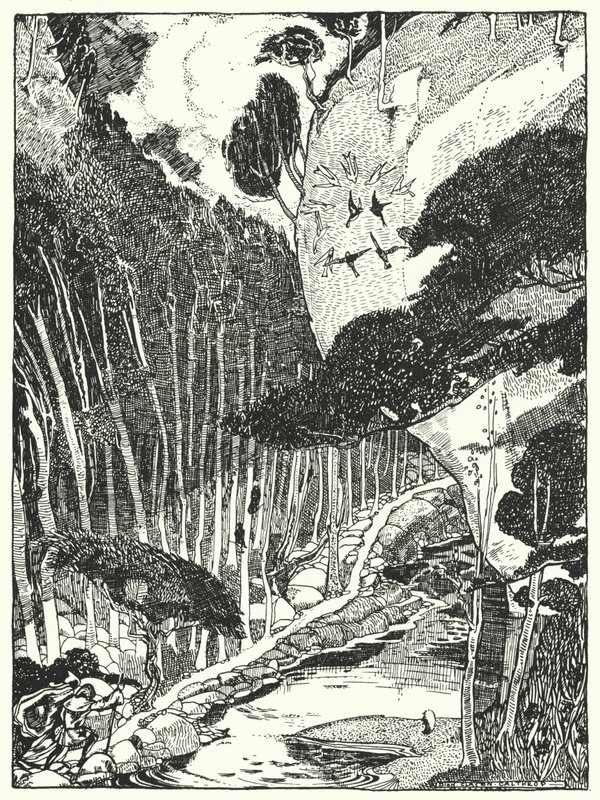 Hämärä metsä (kaiverrus) tekijältä Dion Clayton Calthrop