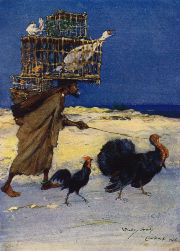 Lintuharrastaja, Carthage, Tunisia tekijältä Dudley Hardy