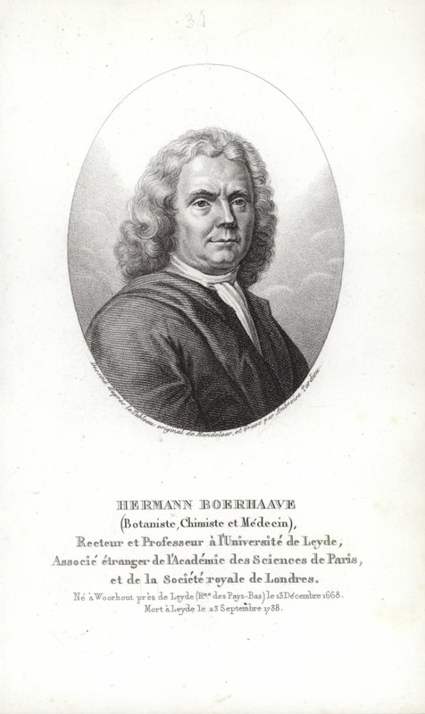 Herman Boerhaave tekijältä Dutch School