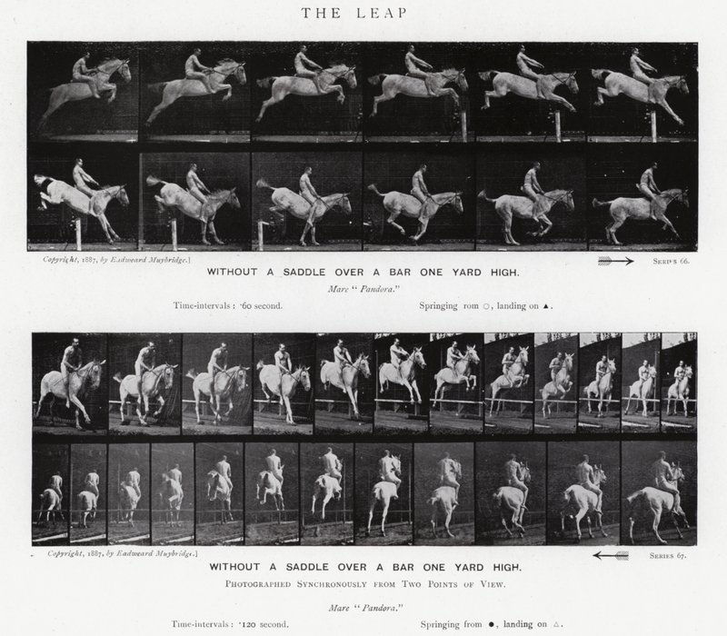 Eadweard Muybridge: The Leap (m/w kuva) tekijältä Eadweard Muybridge
