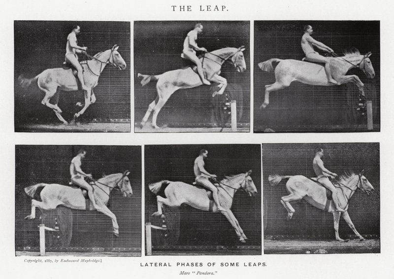 Eadweard Muybridge: The Leap (m/w kuva) tekijältä Eadweard Muybridge