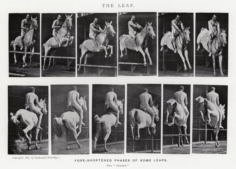 Eadweard Muybridge: The Leap (m/w kuva) tekijältä Eadweard Muybridge
