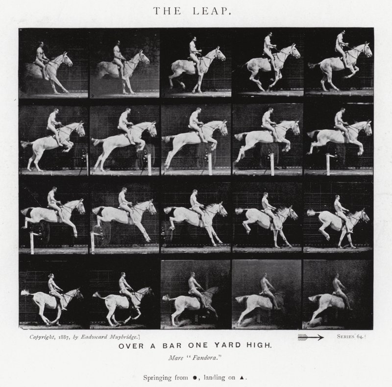 Eadweard Muybridge: The Leap (m/w kuva) tekijältä Eadweard Muybridge