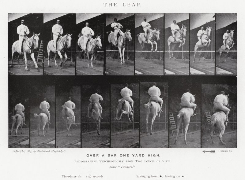 Eadweard Muybridge: The Leap (m/w kuva) tekijältä Eadweard Muybridge