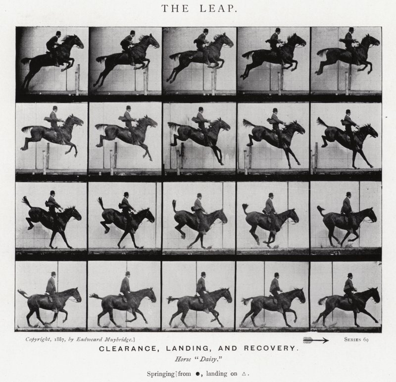 Eadweard Muybridge: The Leap (m/w kuva) tekijältä Eadweard Muybridge