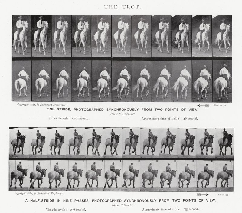 Eadweard Muybridge: Ravi tekijältä Eadweard Muybridge