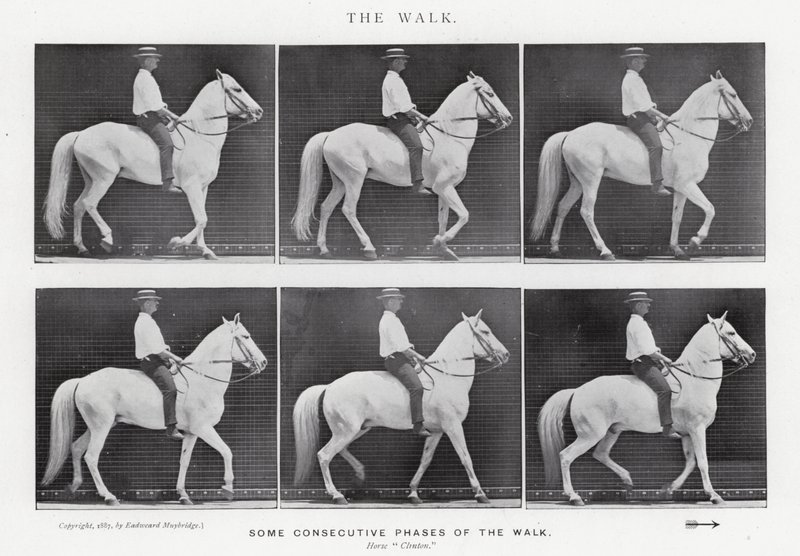 Eadweard Muybridge: The Walk (m/w kuva) tekijältä Eadweard Muybridge