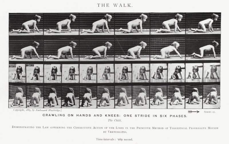 Eadweard Muybridge: The Walk (m/w kuva) tekijältä Eadweard Muybridge