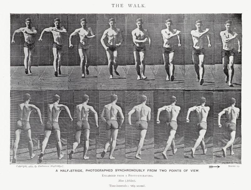 Eadweard Muybridge: The Walk (m/w kuva) tekijältä Eadweard Muybridge