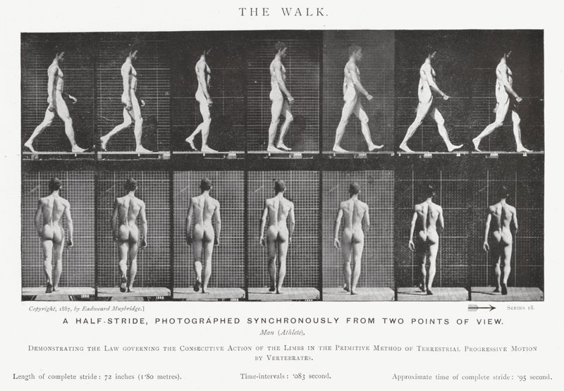 Eadweard Muybridge: The Walk (m/w kuva) tekijältä Eadweard Muybridge