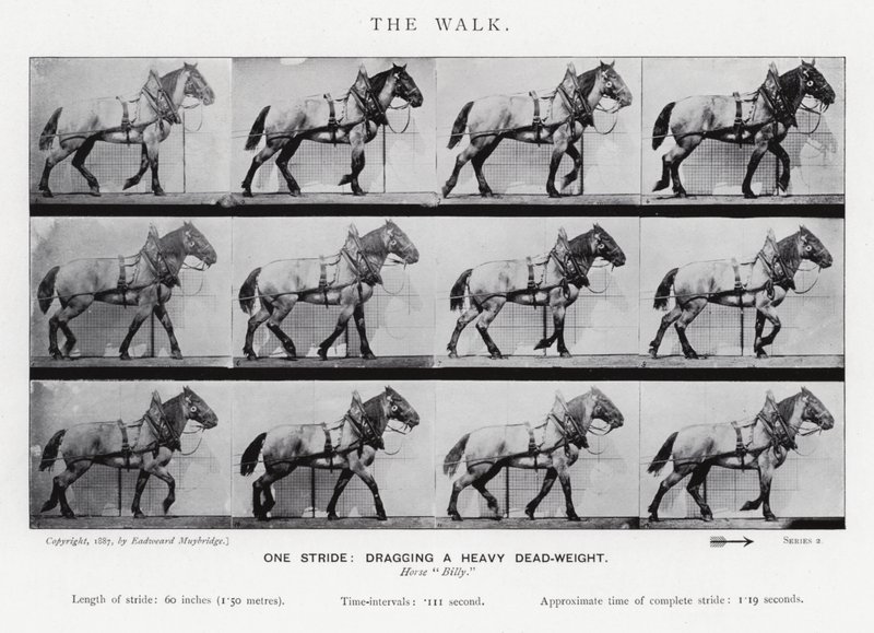 Eadweard Muybridge: Kävely tekijältä Eadweard Muybridge