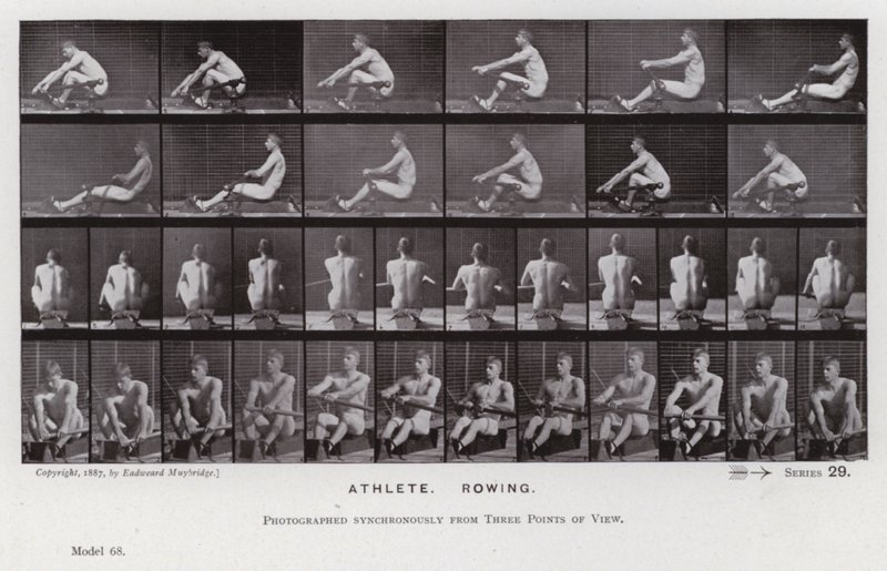 Ihmishahmo liikkeessä: urheilija, soutu (m/v kuva) tekijältä Eadweard Muybridge