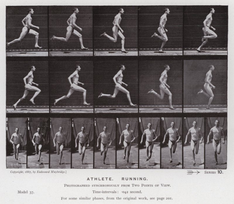 Ihmishahmo liikkeessä: urheilija, juoksu (m/v kuva) tekijältä Eadweard Muybridge