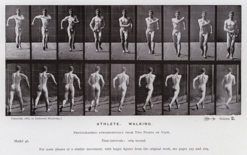 Ihmishahmo liikkeessä: urheilija, kävelevä (m/w kuva) tekijältä Eadweard Muybridge