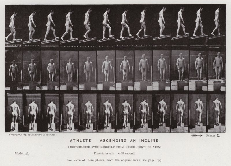 Ihmishahmo liikkeessä: urheilija, nousemassa rinnettä (m/w kuva) tekijältä Eadweard Muybridge