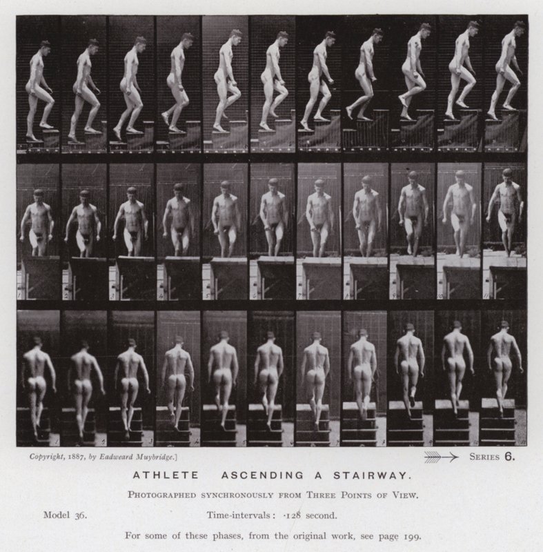 Ihmishahmo liikkeessä: Urheilija, nousemassa portaita pitkin (m/w kuva) tekijältä Eadweard Muybridge