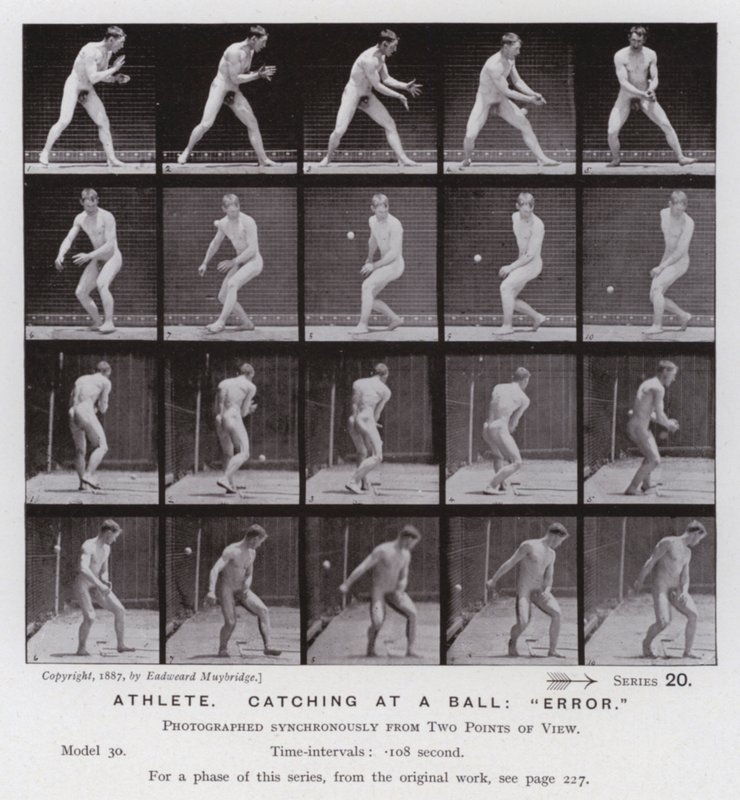 Ihmishahmo liikkeessä: urheilija, nappaa pallon kiinni, "error" (m/w kuva) tekijältä Eadweard Muybridge